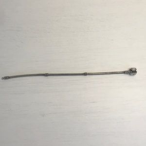 Pandora charm bracelet